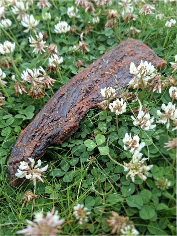 Heste brustbein - Bilde 3